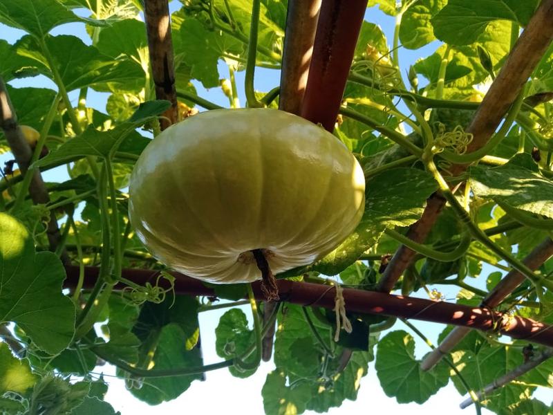 3 Bedroom Property for Sale in Oudtshoorn Rural Western Cape